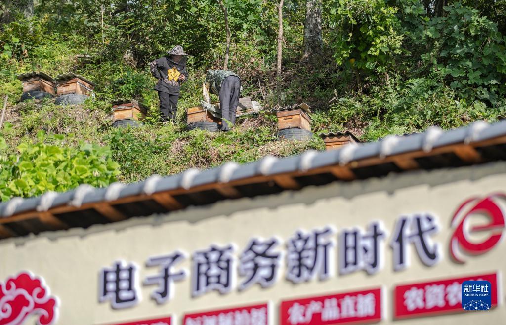 白菜送彩金59网站大全